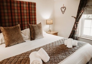 Room 7 Single Room - The Wilson's Arms