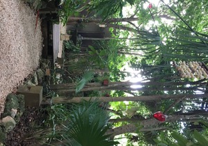 Room H2 at "La Aldea" in Cancun