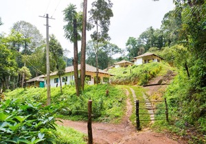 Room in Lodge - The Nest Bettathur Coorg Ct No 1