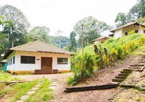 Room in Lodge - The Nest Bettathur Coorg Ct No 1