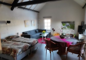 Room to Rent with Own Entrance, Living Room and Bathroom