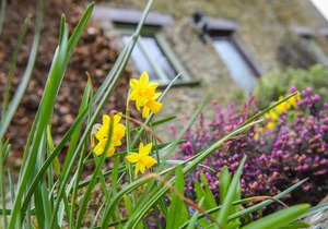 Rowan Cottage, Looe