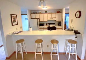S10 Cozy Bretton Woods ground level condo, mountain views, large yard, dog friendly, Great Location!