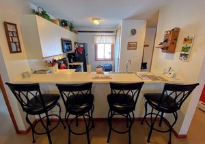 S4 Ski Slope Views! Bretton Woods condo with easy access to Mt Washington, Skiing, Dog Friendly!