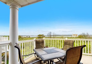 Salt Meadows -- 40148