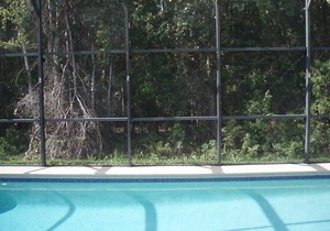 Sandy Ridge 661