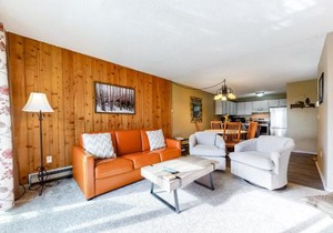 Scandinavian Lodge
