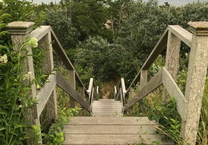 Sconset vintage mansion ON bluff- direct to beach nSteps to village + more beach