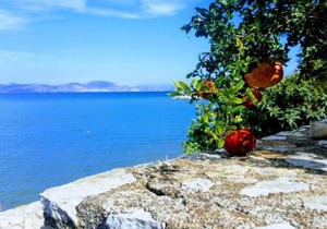 Seafront apartment in Kiveri, near Nafplion.