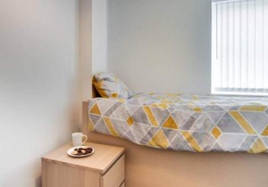 Seasalt Twobedroom Apt in Skinningrove