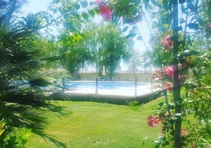 Self catering Complejo Los Arenales for 2 people