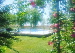 Self catering Complejo Los Arenales for 4 people