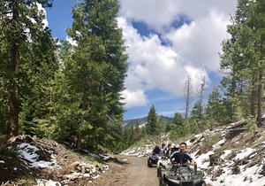Sequoia National Forest CabinM