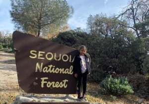 Sequoia National Forest CabinM