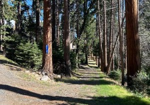 Sequoia National Forest Cabin-ATV Ride