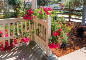 Serene Bungalow-Style Home in Point Reyes Station!