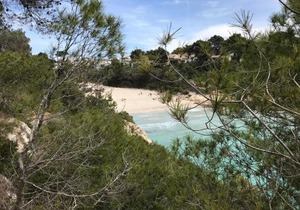 Ses Gavines-Cala Anguila Apartments