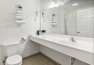 Single King Suite with Free Breakfast and Parking!