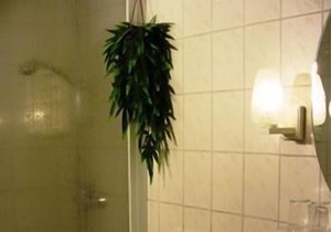 Single room in a villa in Loschwitz