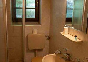Single room, shower, toilet