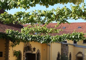 Single room - Weinhotel Johann Tullius