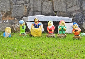 Sitio Recanto dos Sonhos - Igarata