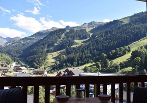 Ski-in/ski-out & foot of the slopes, 4th floor, balcony, ski locker, 27m², Méribel