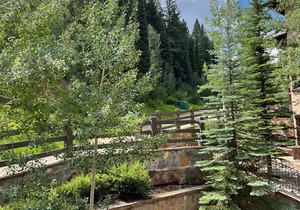 SKI-IN SKI-OUT LUXURY Town Home! Walk to Beaver Creek Village with Hot Tub!