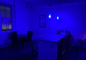 Smart Modern Contemporary 1 Bedroom 1 Bath Apt.