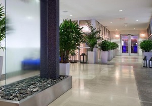 SoBe Ocean Drive Suites