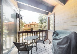 Sophisticated, dog-friendly condo in nature with fireplace - walk to village