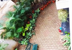 Soul sync at defence colony indiranagar