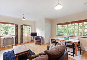 Spacious 1 Bed apt w/Elegant Bath in Streatham