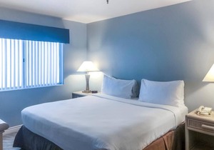Spacious Accommodation w/Kitchen | Close to Nearest Beach + Outdoor Pool