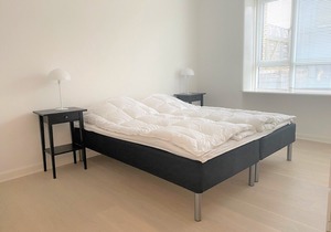 Spacious Apartment in the heart of Roskilde