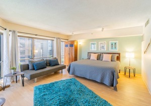 Spacious Downtown Executive Retreat Free Parking