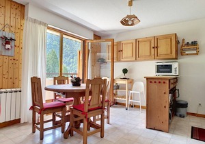 SPACIOUS APARTMENT 3- SAINT JEAN D'AULPS SKI RESORT - 5/6 PEOPLE - CERF 36