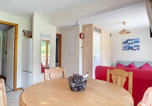SPACIOUS APARTMENT 3- SAINT JEAN D'AULPS SKI RESORT - 5/6 PEOPLE - CERF 36