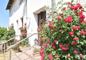 Spacious Stay in Wendelstorf
