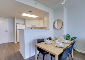 Spectacular Apt with Gym @Ballston