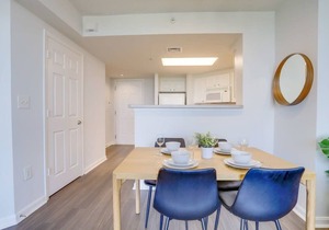 Spectacular Apt with Gym @Ballston