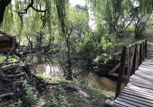 Spendpenny Guest Farm