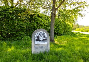 Springfield Lodge
