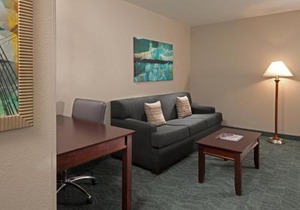 SpringHill Suites by Marriott Baltimore Downtown/Inner Harbor