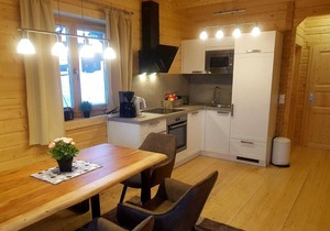 Stubihuettn (1450 m) directly on the ski slope Ground floor apartment