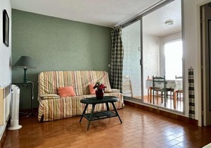 Studio à Argelès-sur-Mer, 400m de la plage et proche commerces, loggia, animaux bienvenus, ménage inclus - FR-1-225-548