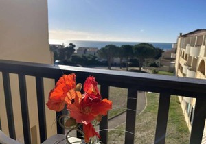 Studio Cabine Vue Mer - 4 Pers, Balcon, Animaux Bienvenus - FR-1-229D-15