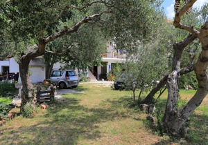 Studio flat with terrace Tučepi, Makarska (AS-6695-b)