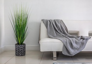Stunning Bay View Studio