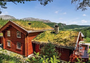 Stunning home in Hemsedal with sauna